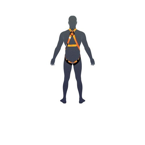 ESSENTIAL BODY HARNESS